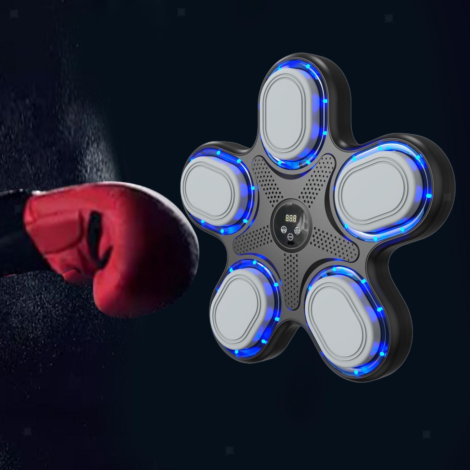 OEM fabrieksnieuwe stijl muzie - Boxing Punching Bag recensie en prijs